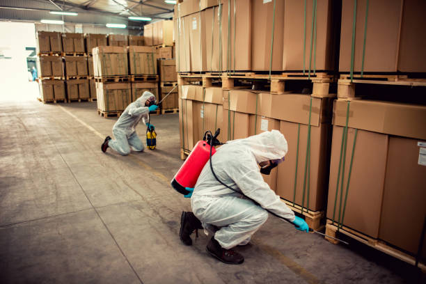 Best Local Pest Control Services  in Marion, PA