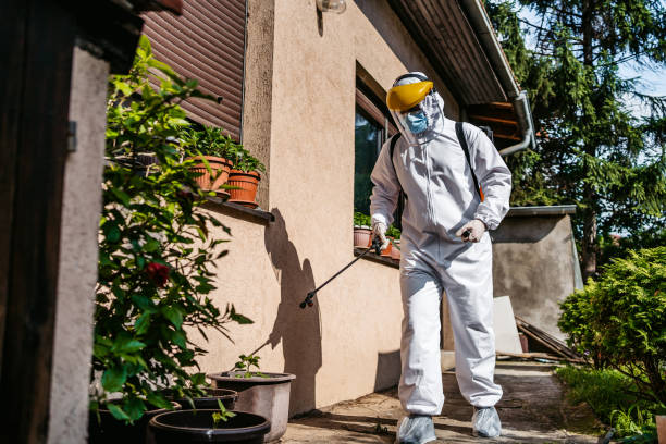 Best Wasp Removal Services  in Marion, PA