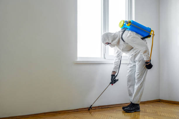 Best Pest Removal Services  in Marion, PA