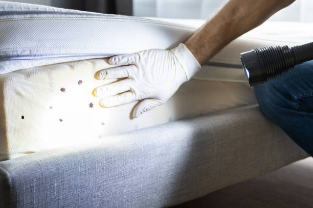 Best Pest Prevention Services  in Marion, PA