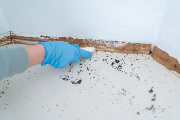 Best Residential Pest Control  in Marion, PA